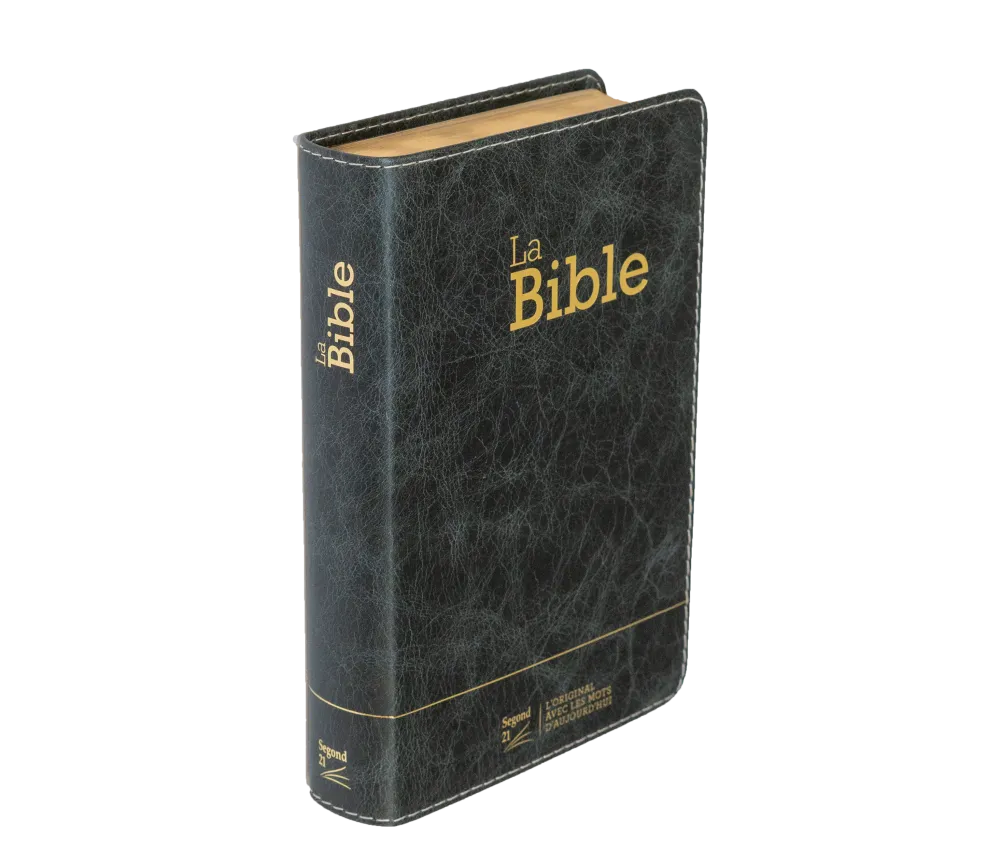 Bible Segond 21 compacte (Premium Style) - couverture souple, cuir anthracite, avec tranches dorées