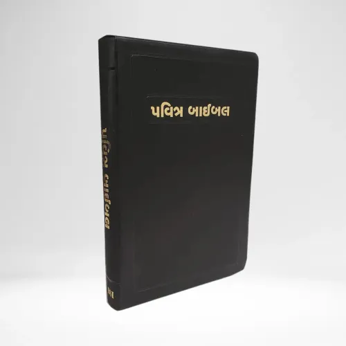 Gujarati, Bible - souple, noir