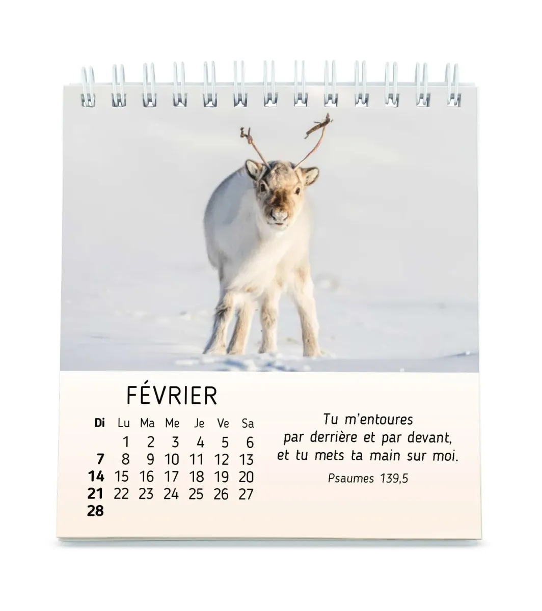Mes petits amis avec versets bibliques - calendrier à poser
