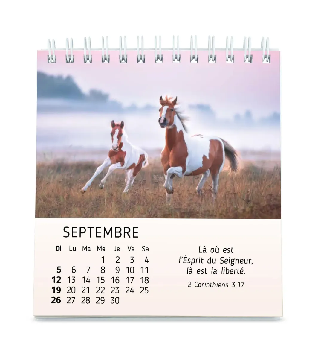 Mes petits amis avec versets bibliques - calendrier à poser