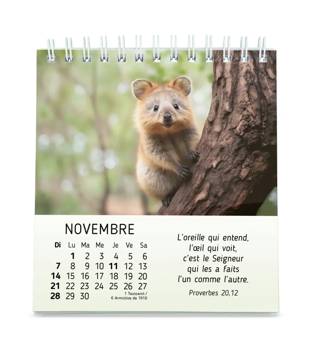 Mes petits amis avec versets bibliques - calendrier à poser