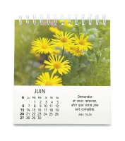 Floralies - calendrier de table