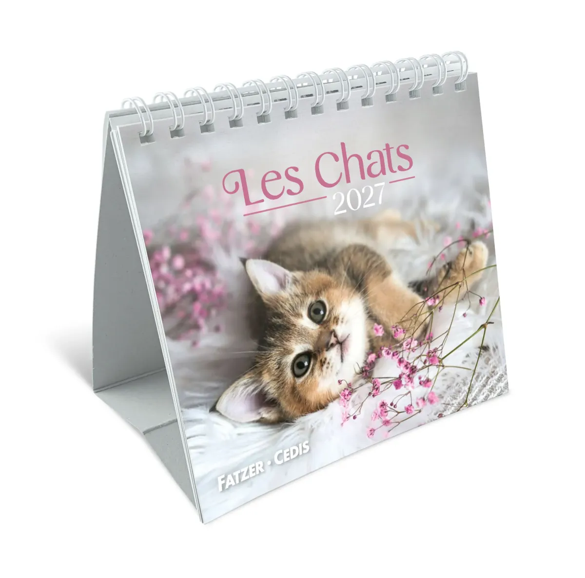 Chats (Les) - Petit calendrier avec 12 belles photos de chats