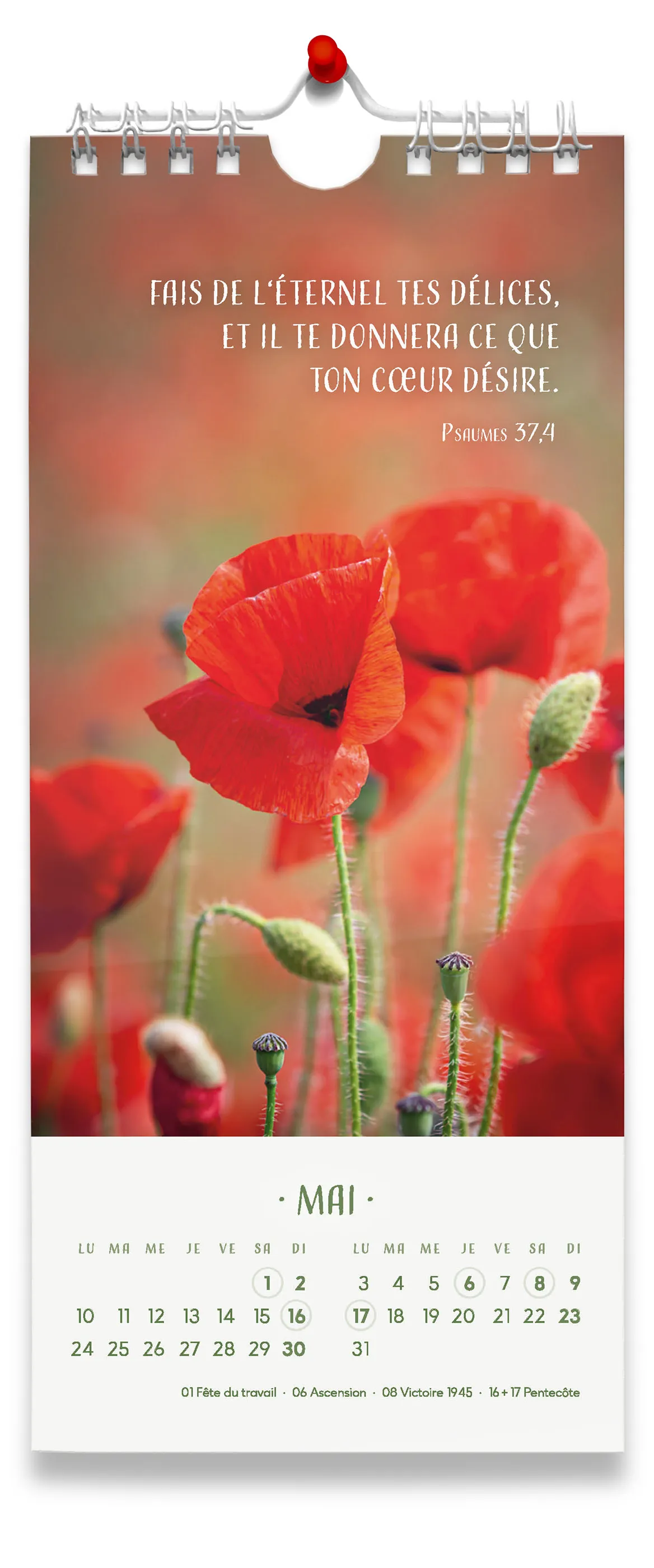 Fleurs avec versets bibliques (Les) - calendrier
