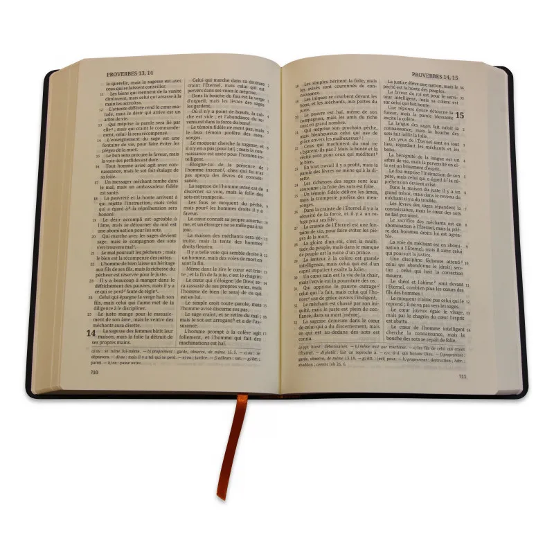 Bible Darby édition de Rolle, grand format, similicuir bleu, souple