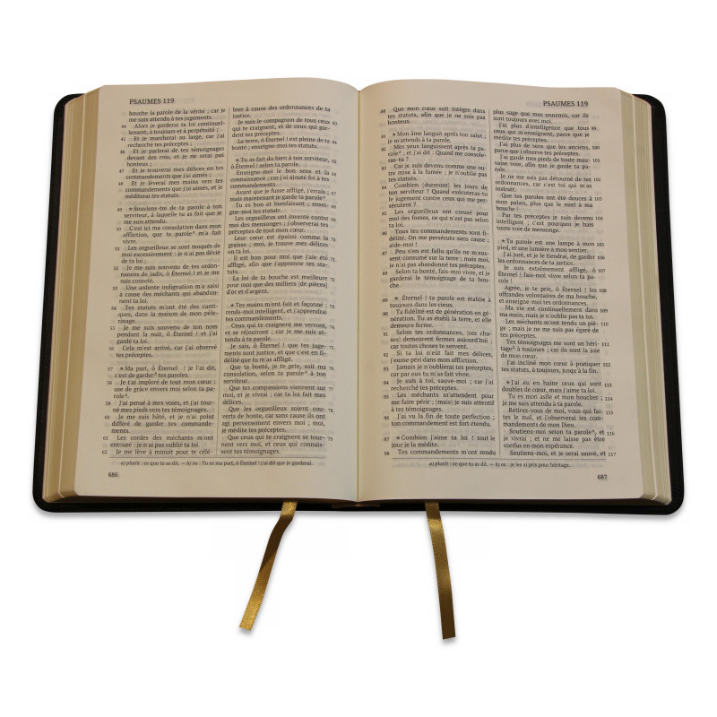 Bible Darby édition de Rolle, grand format, cuir noir sans rebord, souple, tranche dorée
