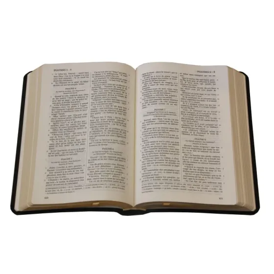 Bible Darby édition de Rolle, format moyen, cuir noir sans rebord, souple, tranche dorée