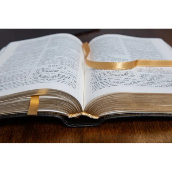 Bible Darby édition de Rolle, format moyen, cuir noir sans rebord, souple, tranche dorée