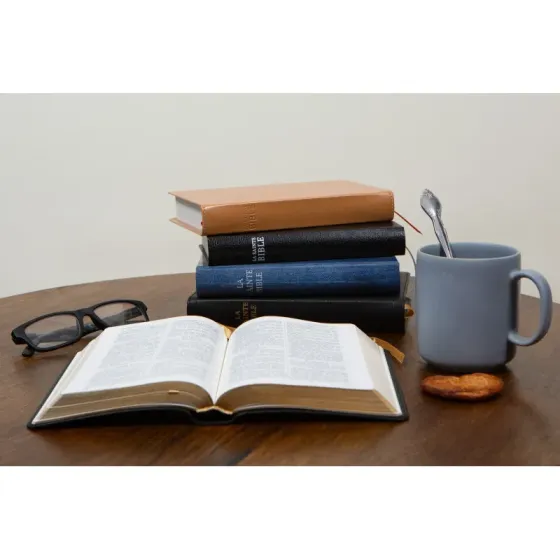 Bible Darby édition de Rolle, format moyen, cuir noir sans rebord, souple, tranche dorée
