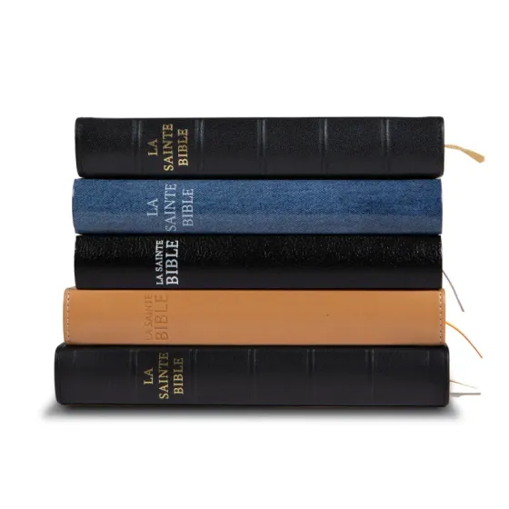 Bible Darby édition de Rolle, format moyen, cuir noir sans rebord, souple, tranche dorée