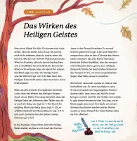 Der verborgene Schatz - Entdecke die Geschichte von Jesus und seiner Kirche