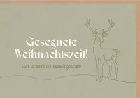 Faltkarte Gesegnete Weihnachtszeit - Lukas 2,10-11