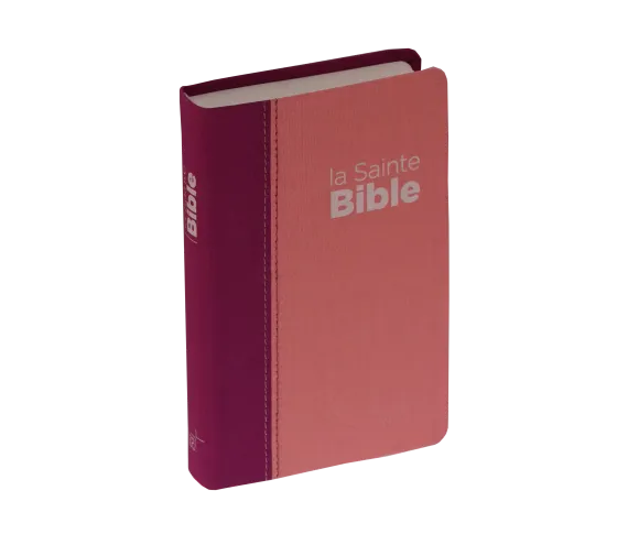Bible Segond NEG compacte - couverture souple, toile duo rose praline / violet fruits des bois en...