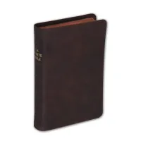 Bible Darby édition de Rolle, format moyen, cuir brun, souple, tranche dorée