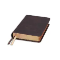 Bible Darby édition de Rolle, format moyen, cuir brun, souple, tranche dorée