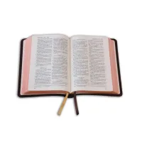 Bible Darby édition de Rolle, format moyen, cuir brun, souple, tranche or