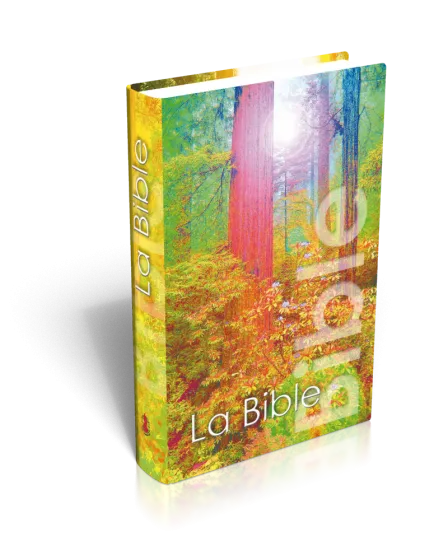 Bible Segond NEG, de poche, illustrée forêt - couverture rigide