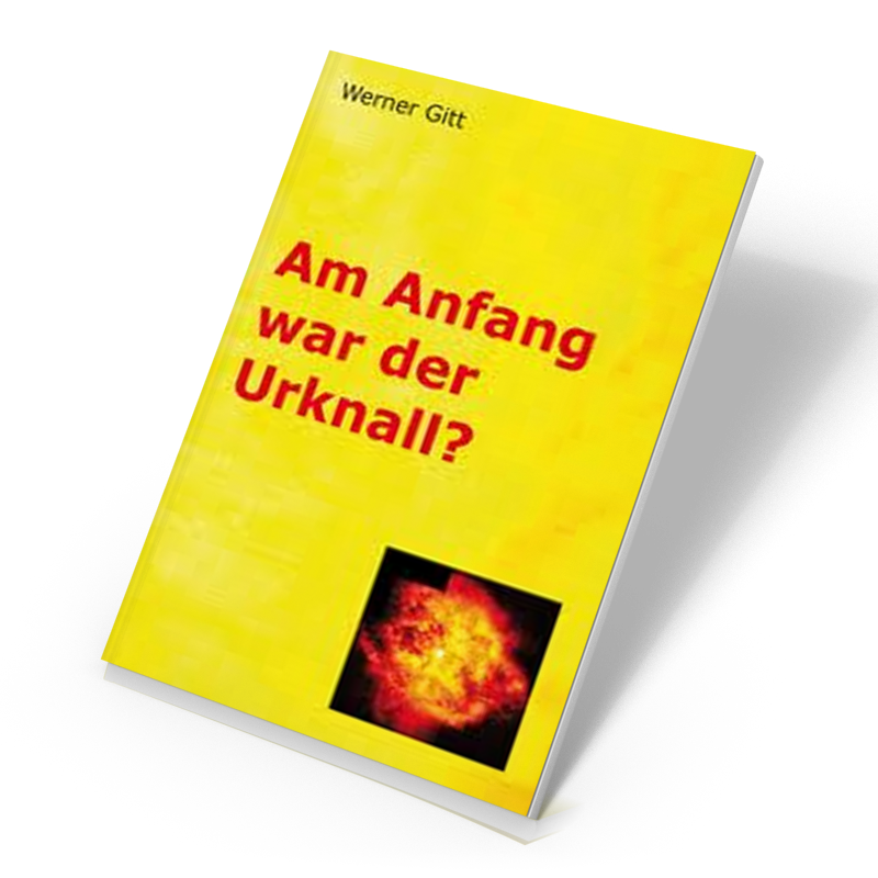 Am Anfang war der Urknall?