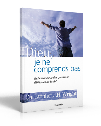 Dieu, je ne comprends pas - Réflexions sur des questions difficiles de la foi