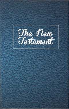 Anglais Nouveau Testament - NLT Broché