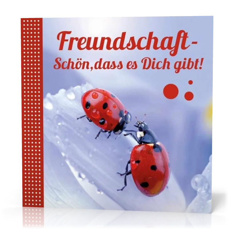Minibuch 7 x 7 cm Freundschaft