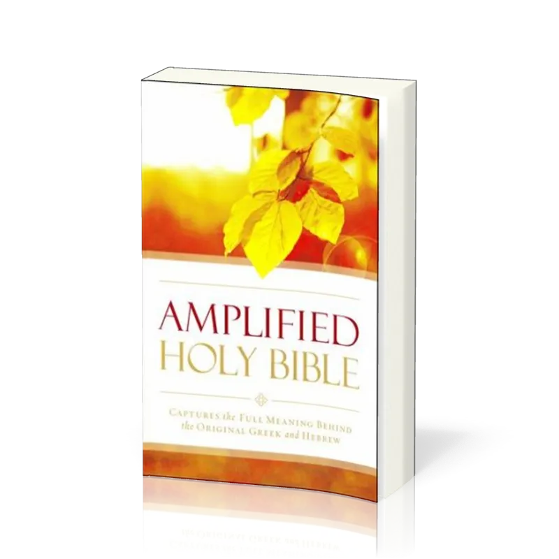 Anglais, Bible, Amplified, Outreach Bible, paperback, couverture illustrée