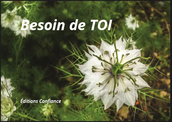 Besoin de toi 