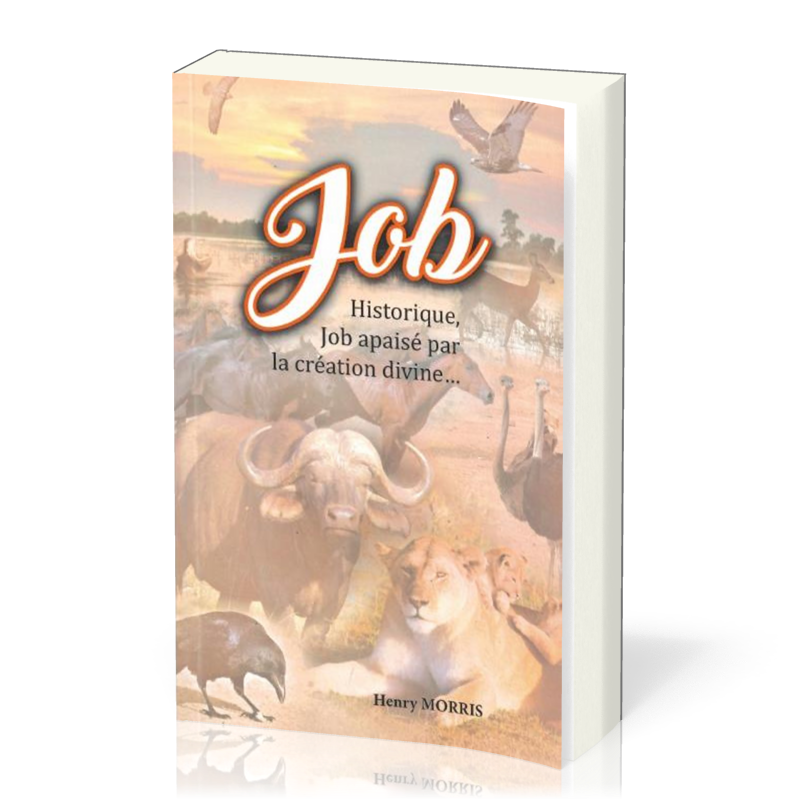 Job historique, Job apaisé par la création divine…