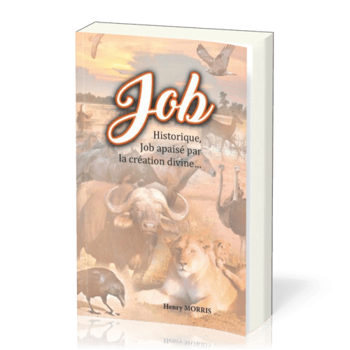 Job historique, Job apaisé par la création divine…