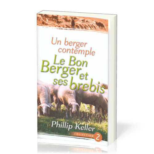 Un berger contemple - Le Bon Berger et ses brebis