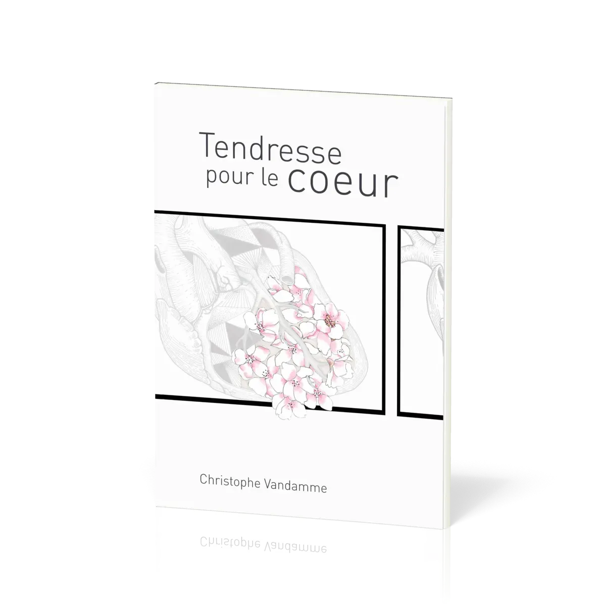 Tendresse pour le cœur