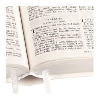 Anglais, Bible King James Version, KJV, rigide, blanche, tranche argent