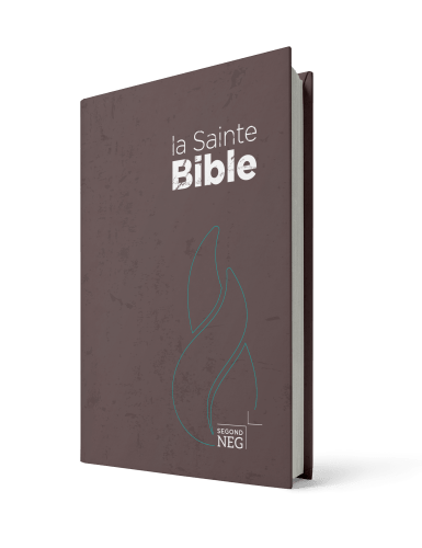 Bible Segond NEG, compacte - couverture rigide brune chocolat