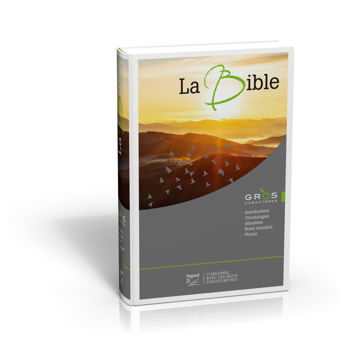 Bible Segond 21, gros caractères, illustrée - couverture rigide