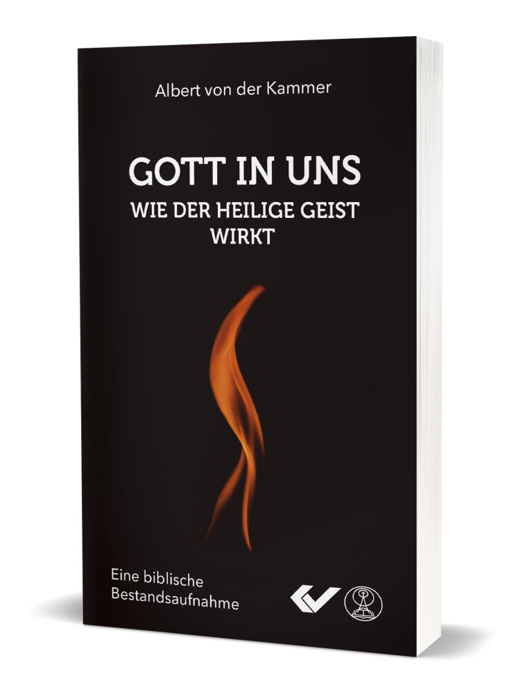 Gott in uns - Wie der heilige Geist wirkt - Eine biblische Bestandsaufnahme