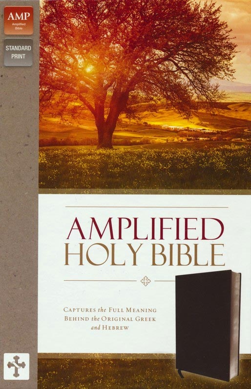 Anglais, Bible, Amplified, Fibrocuir noir et onglets - Amplified Thinline Holy Bible--bonded leather, black (indexed)