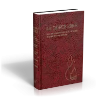 Bible d'étude Segond NEG Scofield, grenat - couverture rigide, skyvertex