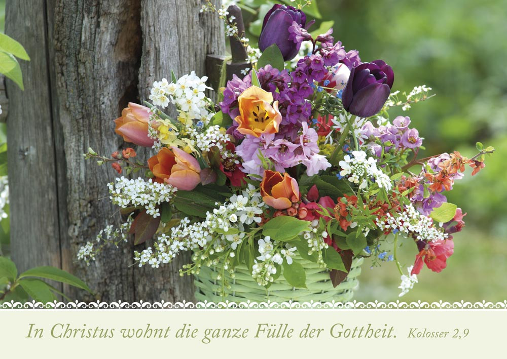 Postkartenbox Wir sind im Garten - 12 verschiedene Postkarten in einer Box mit Magnetverschluss