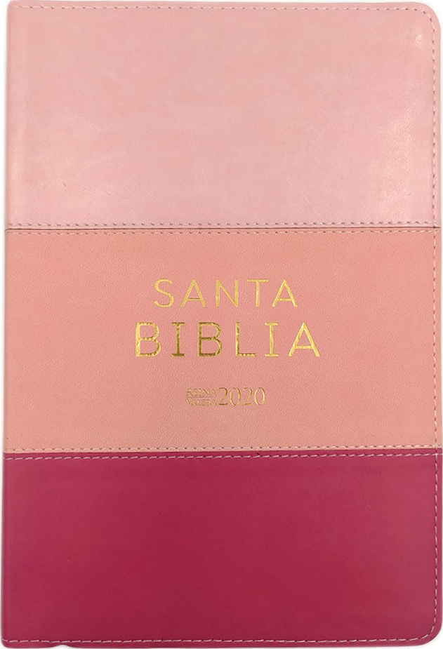 Espagnol, Bible RVR 2020,gros caractères, similicuir camaïeu rose - Biblia Reina Valera 2020 Letra Grande i/piel tricolor rosa