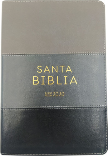 Espagnol, Bible Reina Valera 2020, gros caractères, similicuir, camaïeu gris, tranche or