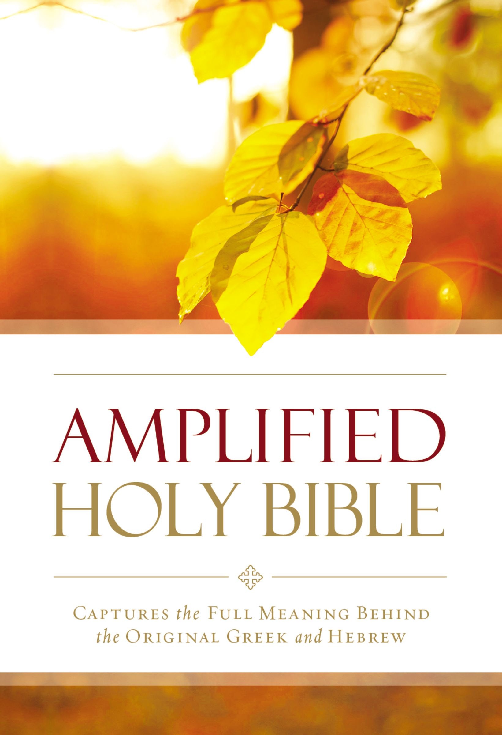 Anglais, Bible Amplified Outreach Bible - paperback