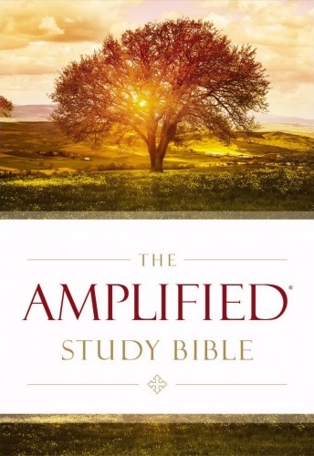 Anglais, Bible, Amplified Study Bible, Large Print - Couverture rigide cartonnée, gros caractères