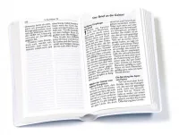 Die Bibel - Neues Testament mit Psalmen und Sprüchen - Luther.heute