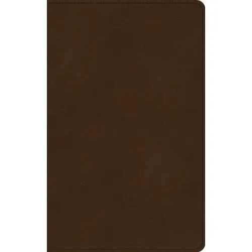 Anglais, Bible King James Version, ultramince, similicuir, brune