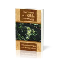 Promesses de la Bible pour vous - 1500 citations bibliques pour la vie quotidienne