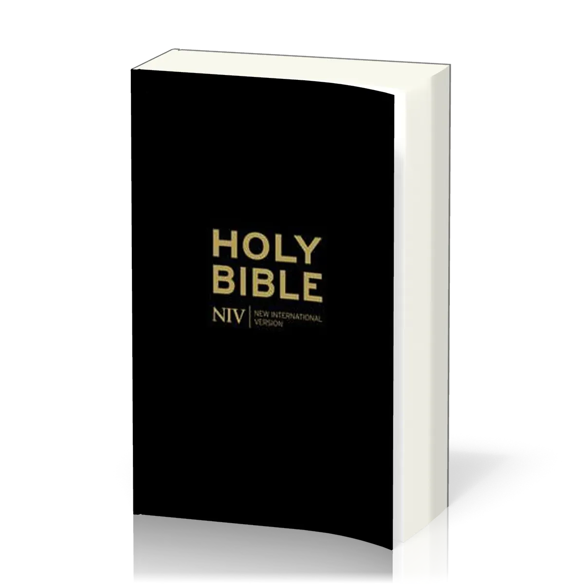 Anglais, Bible, NIV, Gift & Award, noire - NIV Holy Bible - Anglicised Black Gift and Award