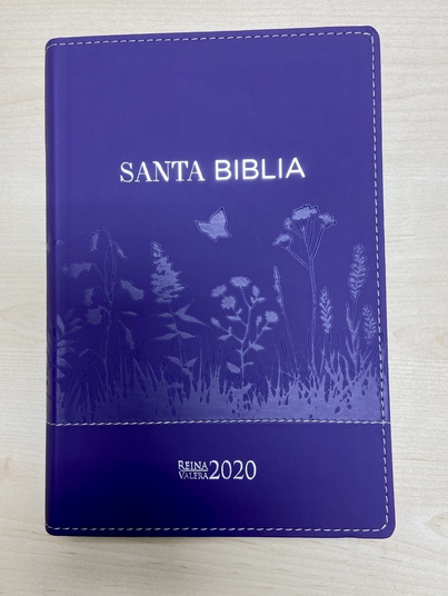 Espagnol, Bible Reina Valera 2020, similicuir, violet avec motifs herbe des champs, gros...