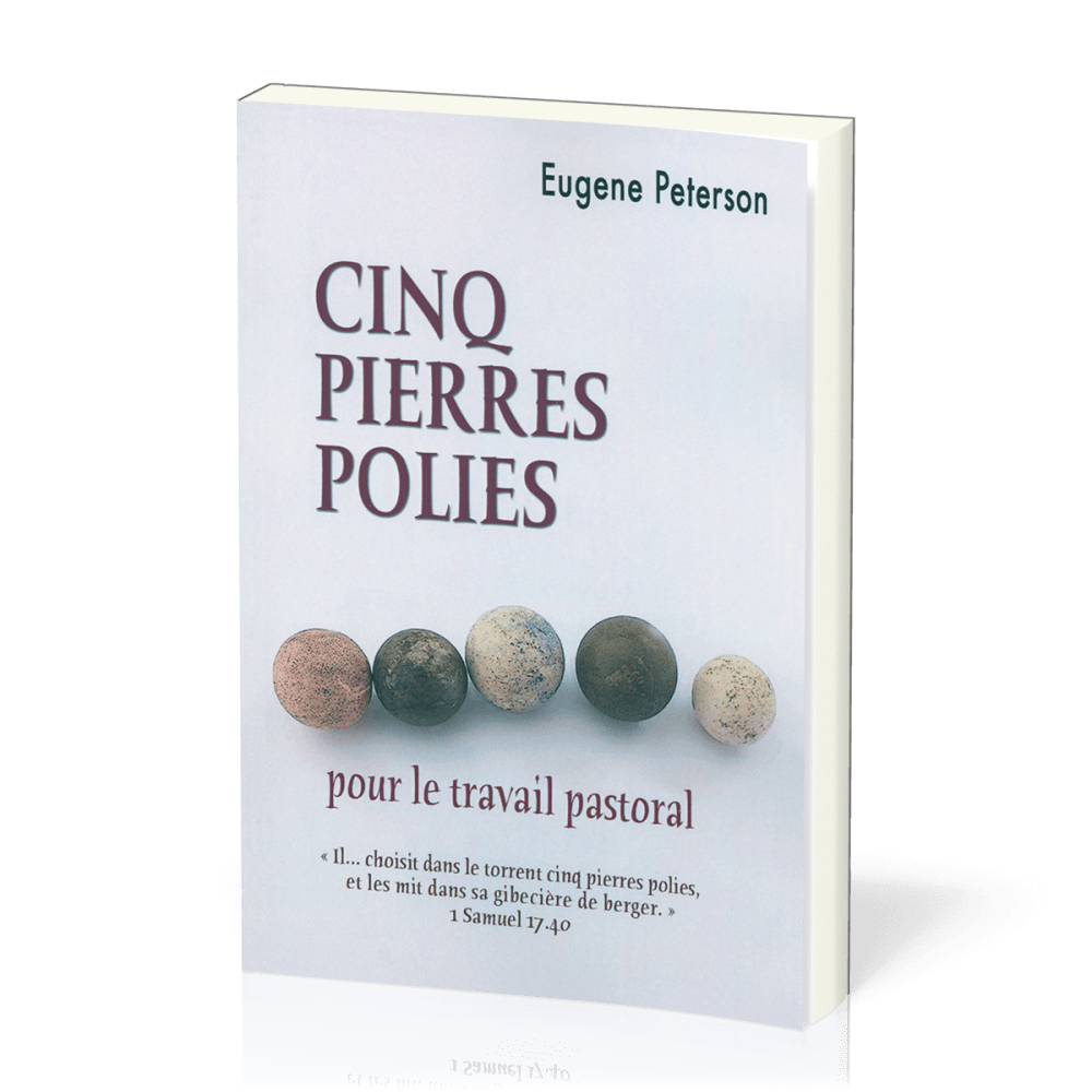 Cinq pierres polies - pour le travail pastoral