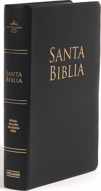 Biblia RVR 60 - Letra Grande con Referancia